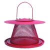 Perky-Pet C00322 Red Cardinal Bird Feeder - 2.5 Feed Capacity 10 81bf9JTSDL
