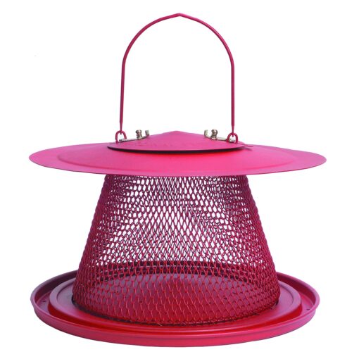 Perky-Pet C00322 Red Cardinal Bird Feeder - 2.5 Feed Capacity