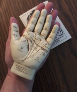 1 X Palmistry Hand by AzureGreen 33 81bfQd6iKCL