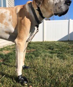 PawZ Rubber Dog Boots for Paws 4" and Up, 12 Pack - All-Weather Dog Booties for Hot Pavement, Snow, Mud, and Rain - Waterproof, Anti Slip Dog Socks - X-Large, Black 20 81bfU6AVFiL