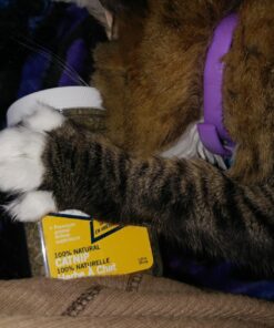 Our Pets Premium Catnip - 1.25 oz Jar of High Potency Catnip - 100% North American Grown 1.25 oz. 32 81bgelP7hmL