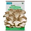 Back to the Roots Organic Mini Mushroom Grow Kit, Harvest Gourmet Oyster Mushrooms In 10 days, Top Gardening Gift, Holiday Gift, & Unique Gift 3 81bh1MonpHL