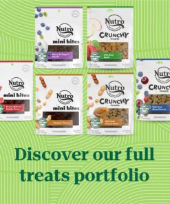 NUTRO Crunchy Dog Treats with Real Peanut Butter, 10 oz. Bag 10 Ounce (Pack of 1) 21 81bhlKBSegL