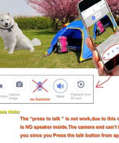 New Digital Pet Collar Cam Camera DVR Video Recorder 14 81bl2eG36HS