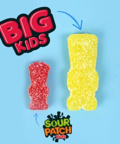 SOUR PATCH KIDS Big Individually Wrapped Soft & Chewy Candy, Christmas Candy Stocking Stuffers, 240 Count Box Mixed-Fruit 36 81bne96jkhL