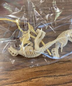 12 Pack: Dinosaur Excavation Kits for Kids, Dino Dig Kits, 3D Dig a Dinosaur Fossil and Figure Sets, Bulk Science Education Toys for Paleontology Archaeology STEM Learning Kids Activity Party Favors 55 81bo9H10aRL