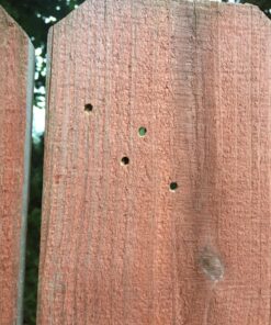 Gamo Rocket .177 Cal, 9.6 Grains, Ballistic Tip, 150ct 29 81bqAMviOIL