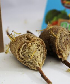 Alternative view of Praying Mantis adults Case with Hatching Habitat Bag - 2 Praying Mantids Egg Cases 2 Pod Habitat Bag