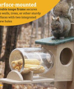 Birds Choice SNSQJAR Recycled Squirrel Jar Feeder, Squirrel Feeders, 7-1/4"L X 19"W X 15-3/4"H, Taupe w/ Green Roof 25 81c CXnCdBL