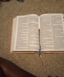 KJV Holy Bible, Giant Print Full-size Faux Leather Red Letter Edition - Thumb Index & Ribbon Marker, King James Version, Pink Leather Bound 51 81c MLCV0iL