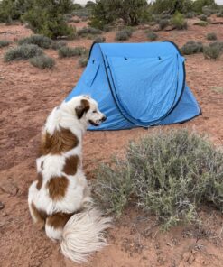 Abco Small Pop Up Tent and Automatic Instant Portable Cabana Beach Small Tent - 2 Person Pop Up Tent - 2 Doors Emergency Tent - Water-Resistant, UV Protection Sun Shelter with Carrying Bag (Sky Blue) 42 81c kbeT EL
