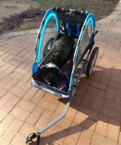 Instep Bike Trailer for Toddlers, Kids, Single and Double Seat, 2-In-1 Canopy Carrier, Multiple Colors Blue Single Seat 35 81c0byYheCL