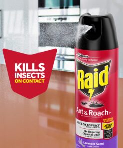 Raid Ant & Roach Killer Spray For Listed Bugs, Keeps Killing for Weeks, Lavender Scent 12 Ounce (Pack of 1) 12 Ounce (Pack of 1) 15 81c287w49vL