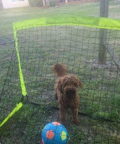 Franklin Sports Blackhawk Soccer Goal - Pop Up Backyard Soccer Nets - Foldable Indoor + Outdoor Soccer Goals - Portable Adult + Kids Soccer Goal 4' x 3' Optic Yellow 46 81c2ADNVtQL