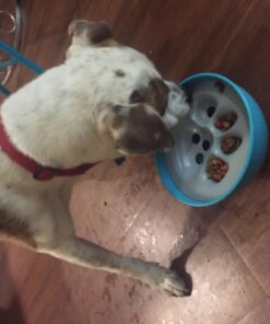 PAW5 Rock 'N Bowl Puzzle Feeder Dog Bowl - Fun Interactive Enrichment Dog Dish - Slow Feeder for Dogs - Stops Bloating - BPA and Phthalate-Free Plastic Made in The USA 19 81c3Y2ZdnjL