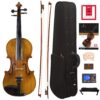 Cecilio CVN-500 Solidwood Ebony Fitted Violin with D'Addario Prelude Strings, Size 4/4 (Full Size) 30 81c3kFUQcgL