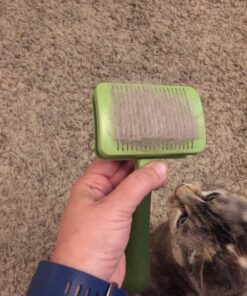 Coastal Pet Safari - Cat Self-Cleaning Slicker Brush - Cat Grooming Supplies Pack of 1 36 81c5dvZ7yL