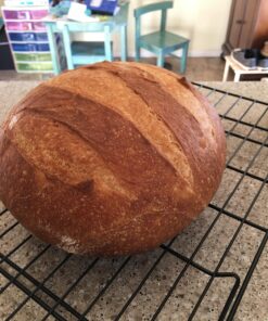 Lodge 6 Quart Enameled Cast Iron Dutch Oven with Lid – Dual Handles – Oven Safe up to 500° F or on Stovetop - Use to Marinate, Cook, Bake, Refrigerate and Serve – Island Spice Red 43 81c5mPW7ziL