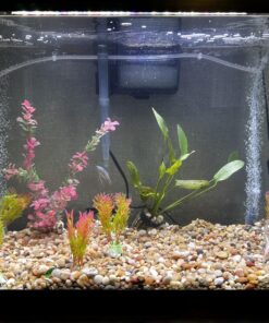 AquaClear 50 Power Filter, Fish Tank Filter for 20- to 50-Gallon Aquariums (Packaging may vary) 20 to 50 Gallons - 50 41 81c7CMpDVjL