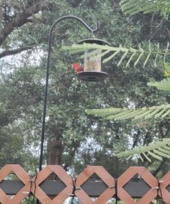 Kaytee Wild Bird Food Nut & Fruit Seed Blend For Cardinals, Chickadees, Nuthatches, Woodpeckers and Other Colorful Songbirds, 5 Pounds 5 Pound (Pack of 1) 36 81cDhmIY ML 1