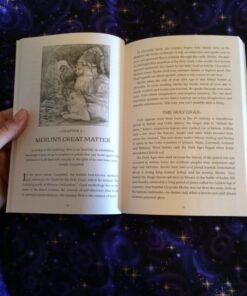 Chrysalis Tarot Companion Book 27 81cDxiMzopL