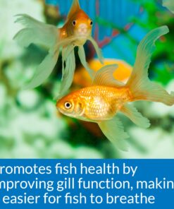 API AQUARIUM SALT Freshwater Aquarium Salt 67-Ounce Box (Packaging May Vary) 67 oz Aquarium Treatment 29 81cFIrBt9YL