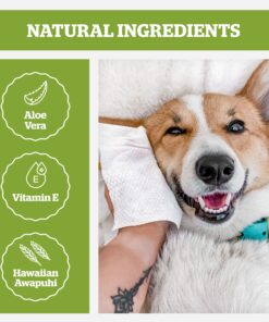 Pogi's Dog Grooming Wipes - 100 Dog Wipes for Cleaning and Deodorizing - Plant-Based, Hypoallergenic Pet Wipes for Dogs, Puppy Wipes - Quick Bath Dog Wipes for Paws, Butt, & Body - Fragrance Free 100-Count Wipes Fragrance-Free 22 81cGpZ SaRL