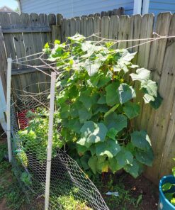 Fox Farm FX14049 Liquid Nutrient Trio Soil Formula: Big Bloom, Grow Big, Tiger Bloom (Pack of 3 - 32 oz. bottles) 16 81cGxclLjNL