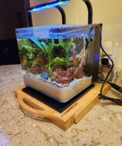 MarineLand Contour Glass Aquarium Kit with Rail Light 3-gallon 37 81cJ4f98eFL