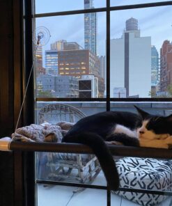 Kitty Cot Original World's Best Cat Perch (Large) Black Color Kitty Cot Large 33 81cLT6KYeCL