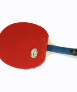 Palio Master 2.0 Table Tennis Bat & Case - ITTF Approved - Flared - Intermediate Ping Pong, Racket, Paddle 9 81cNUFoHG8L