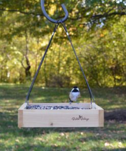 Wild Wings WWCF23 Cedar Tray Bird Feeder 33 81cQ9w0qsvL