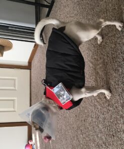 Gooby Padded Vest Dog Jacket - Red, Medium - Warm Zip Up Dog Vest Fleece Jacket with Dual D Ring Leash - Winter Water Resistant Small Dog Sweater - Dog Clothes for Small Dogs Boy and Medium Dogs Medium chest (18.25") 1 44 81cSpMGaOAL