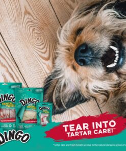 Dingo Tartar And Breath Dental Sticks For All Dogs, 48-Count 48 Count (Pack of 1) 21 81cTDRlRr4L