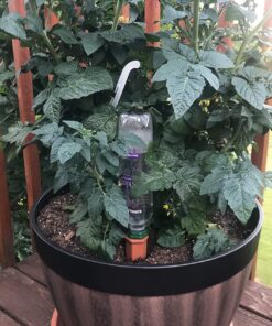 Recycle a Plastic Bottle Stake Set with Adapter 1 30 81cUNQjsj5L