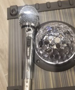 Ankuka Karaoke Machine, Portable Bluetooth Speaker with Disco Lights,Subwoofer PA System with 2 Wireless Microphones for Christmas,Birthday Party 41 81cUvfbmldL