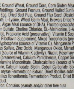 Kaytee Exact Hand Feeding High Fat Baby Bird Food, 18-Oz Jar 11 81cXCGFYvBL