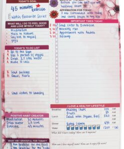 90 Day Planner with Gratitude List, Reflection and all the Planner Tools You Need - A Daily planner to Achieve Your Goals & Increase Productivity, Passion & Happiness (6" x 9" Pink Flowers) 5 81cYCQJJ2rL