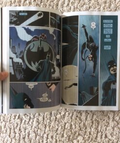 Batman: The Long Halloween Paperback 29 81cYKX3Z7aL
