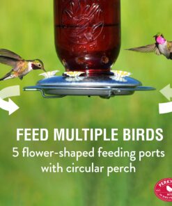Perky-Pet 786-1SR Mason Jar Vintage Glass Hummingbird Feeder - Outdoor Garden Décor - 32-oz Red Mason Jar 25 81cYP7DxypL