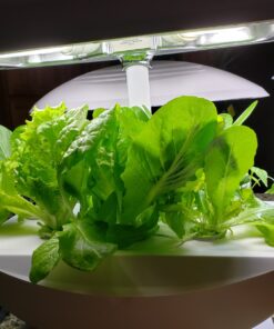 AeroGarden Salad Greens Mix Seed Pod Kit, 7 pod 35 81cd4d344EL