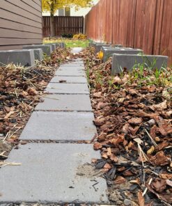 Backyard Morel Mushroom Growing Kit - MOREL HABITAT KIT ® 37 81cdFGoh9IL