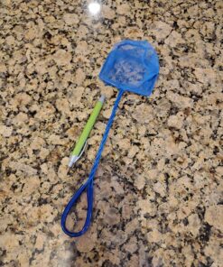 PENN-PLAX Quick-Net Aquarium Fish Nets – Durable, Strong, and Safe – Color May Vary (Blue or Green) 4" Net 31 81cibaQsWML