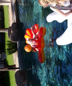 Intex Lobster Ride-On 31 81ckV6B5kjL