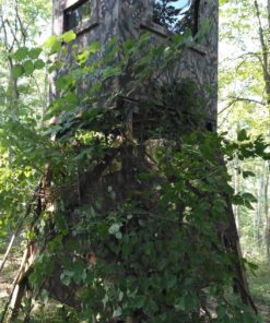 Mr. Heater F215100 MH4B Little Buddy 3800-BTU Indoor Safe Propane Heater With Portable|Low-Oxygen Safety Shutoff|Tip-Over Protection|Lightweight, Medium , Black/Red 50 81clJwWqRUL