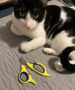 Zen Clipper Pet Nail Clipper for Cats – Cat Nail Clipper for Safer Cat Grooming and Nail Care - Clean, Quiet, and Easy-to-Use Stainless Steel Cat Claw Trimmer - (2.5mm Hole) Small - 2.5mm hole 32 81clnbwZIuL