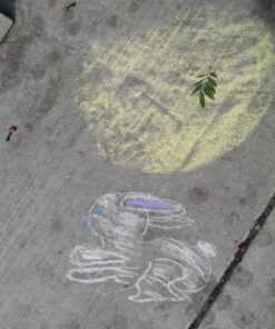 Crayola Non-Toxic White Chalk(12 ct box)and Colored Chalk(12 ct box) Bundle 22 81cmxFlGtL