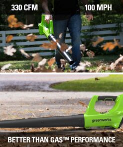 Greenworks 24V Cordless String Trimmer and Blower Combo Pack, 2Ah Battery and Charger Included STBA24B210 12" Trimmer + Blower (2.0Ah) 18 81co1s 6LzS