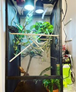 Zoo Med ReptiBreeze Open Air Screen Cage, Extra Large, 24 x 24 x 48-Inches 51 81coraqqStL