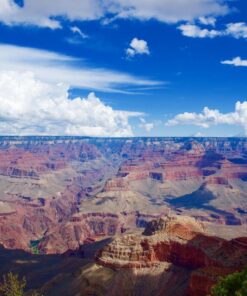 Nikon D610 24.3 MP CMOS FX-Format Digital SLR Camera (Body Only) Body Only Base 93 81cpopxTr4L